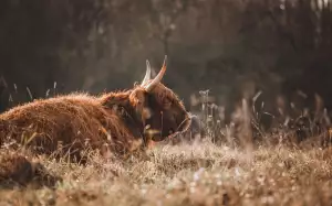 Za Jak Dlouho Zabere Ofloxin