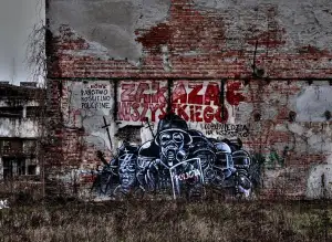 Volby 2025 Graf